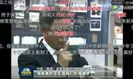 易经网友爆料新闻事件视频,最新新闻事件视频背后的真相