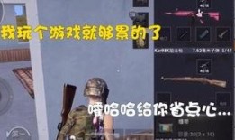 抖音吃鸡智勇爆料视频大全,揭秘热门视频背后的精彩故事